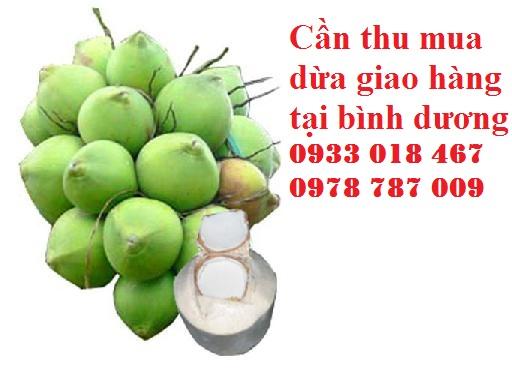 cần thu mua dừa tươi giao hàng tại bình dương 0978 787 009