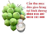 cần thu mua dừa tươi giao hàng tại bình dương 0978 787 009
