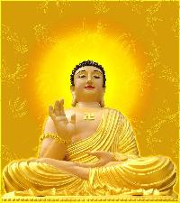 Phật Thích Ca Mâu Ni và Phật A Di Đà có phải là một
